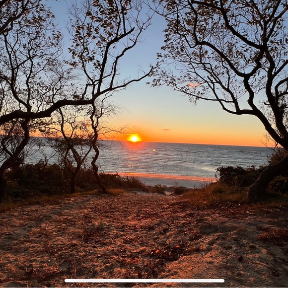 Meet your Posher, Matthew - Picture 1 of 1